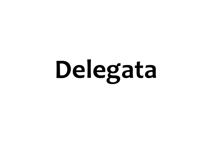 Software Firm Delegata