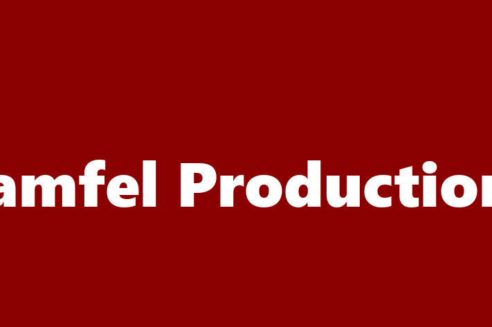 Application Development Company Camfel Productions