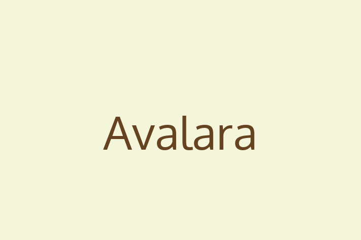 Software Firm Avalara