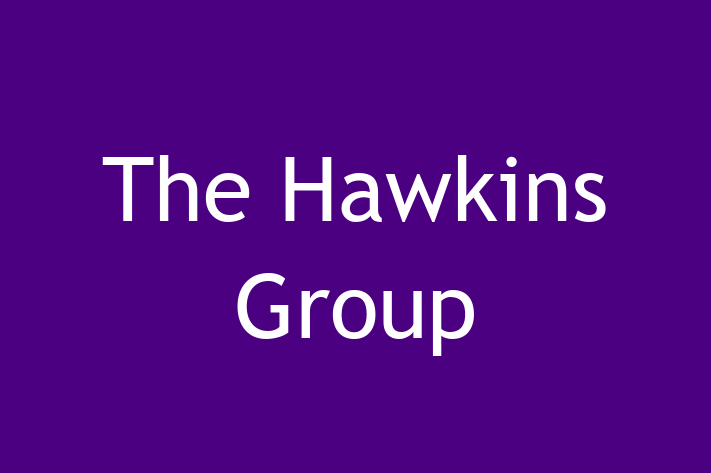 Software Development Firm The Hawkins Group