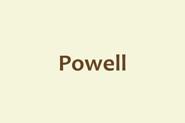 Human Resource Management Powell