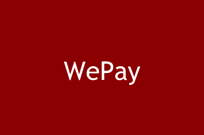 Software Consultancy WePay