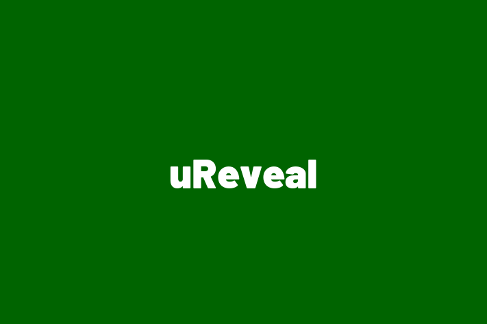 Digital Solutions Provider uReveal