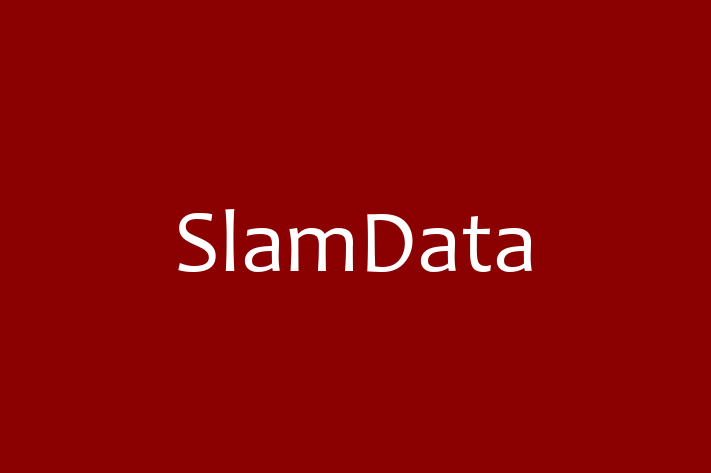 IT Company SlamData