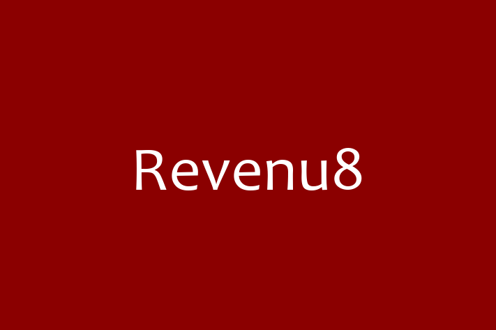 Technology Solutions Firm Revenu8