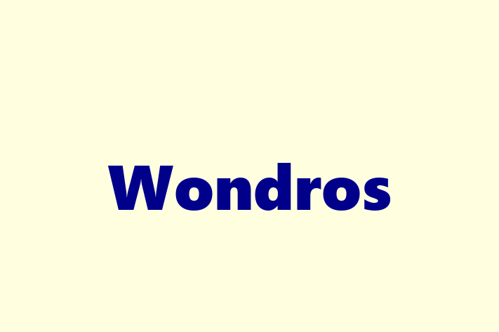 Software Services Company Wondros