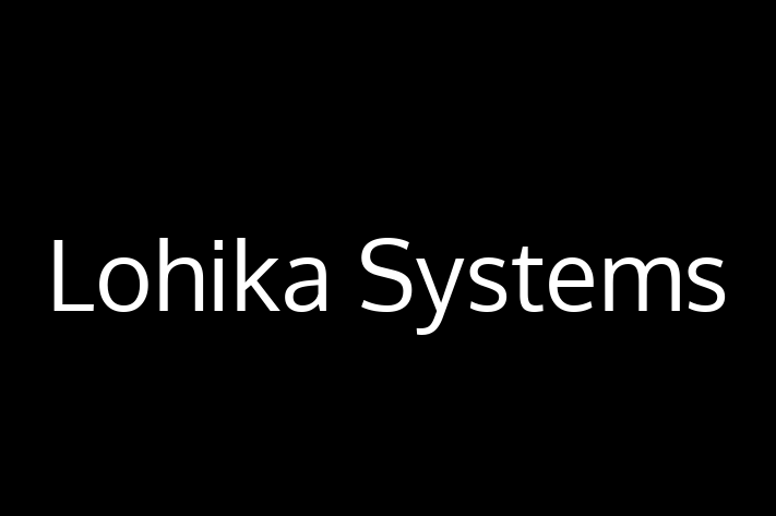 Technology Solutions Firm Lohika Systems