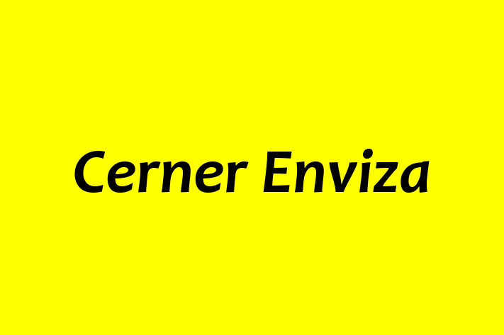 Workforce Management Cerner Enviza