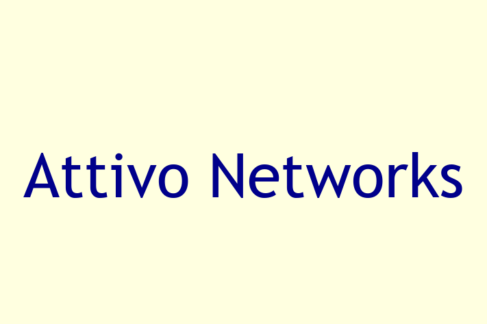 Software Engineering Company Attivo Networks