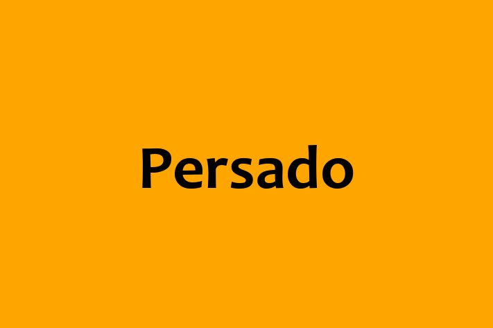 Software Engineering Company Persado