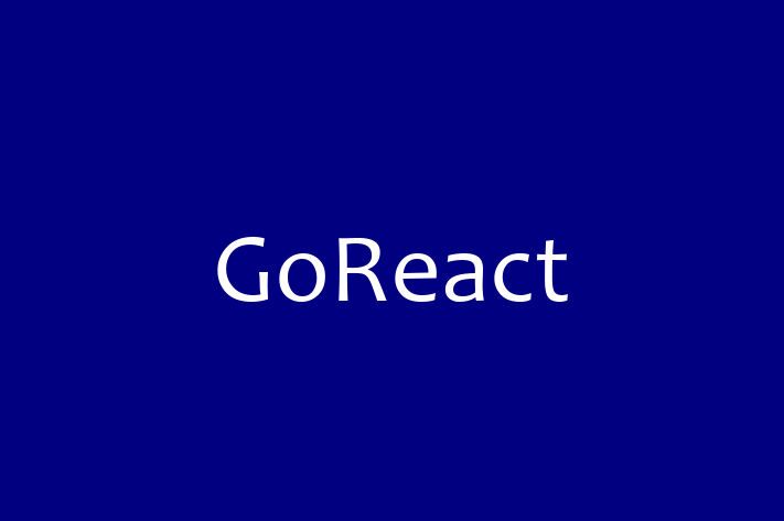 IT Company GoReact