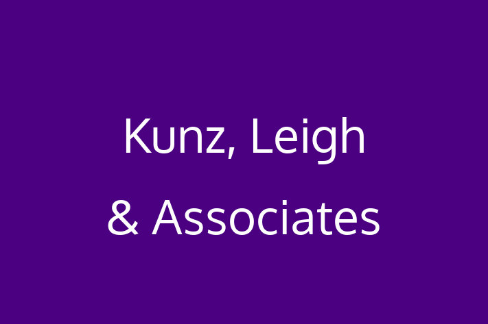 Technology Solutions Firm Kunz Leigh  Associates