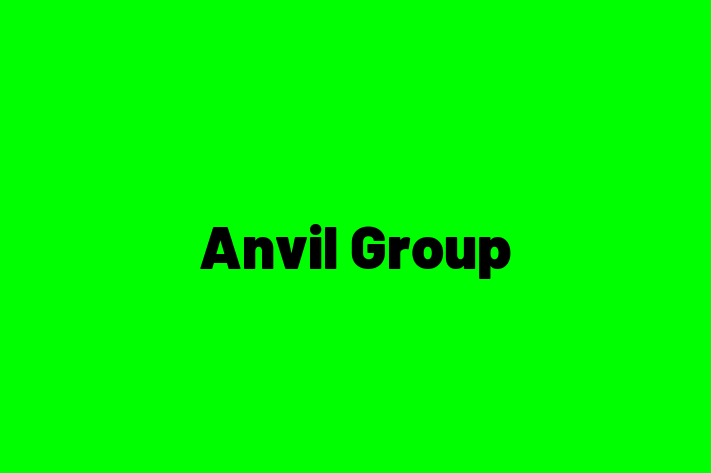 Talent Management Anvil Group