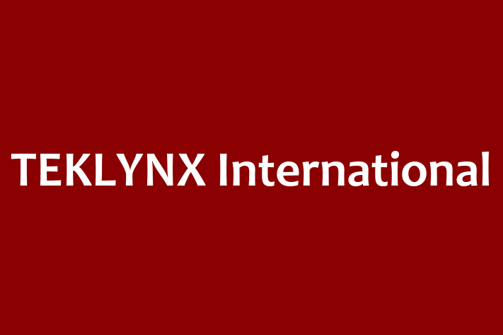 IT Company TEKLYNX International