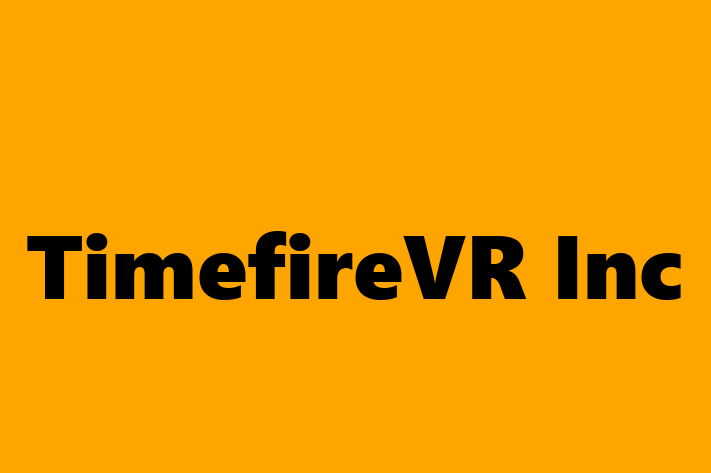 Software Services Company TimefireVR Inc