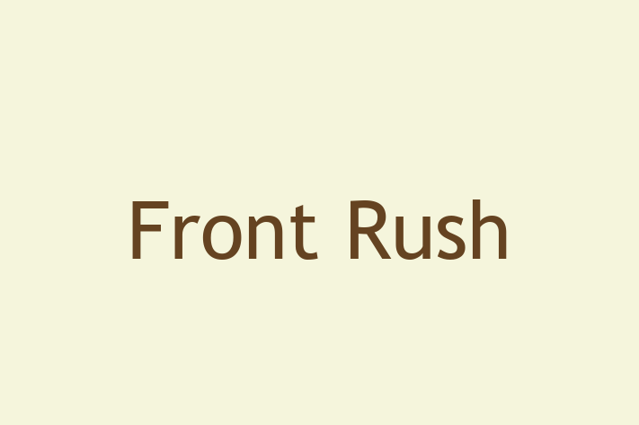 Application Development Company Front Rush