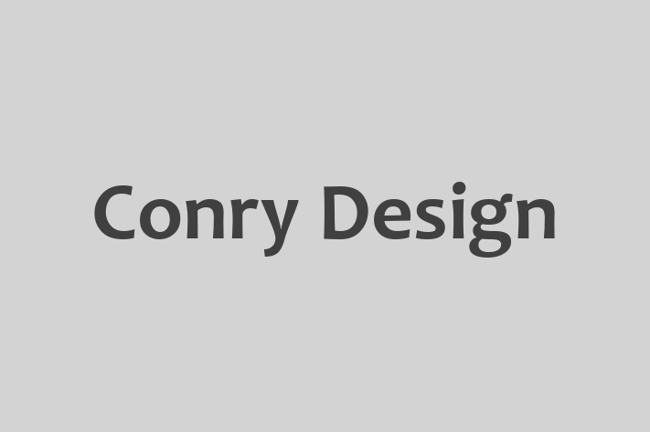 Software Engineering Company Conry Design