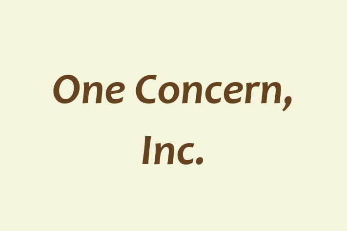 Software Solutions Provider One Concern Inc.