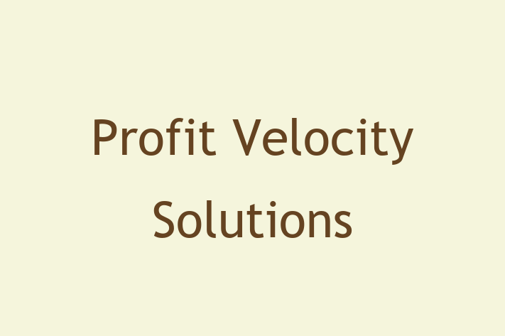 Software Consultancy Profit Velocity Solutions