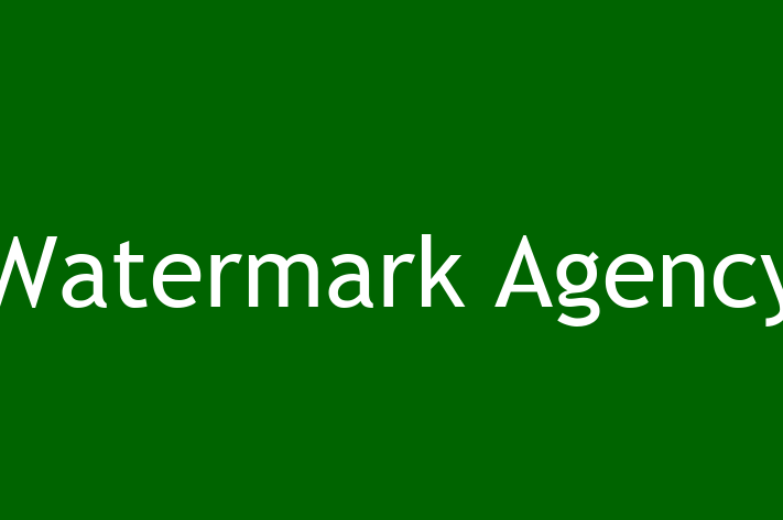 Software Development Company Watermark Agency