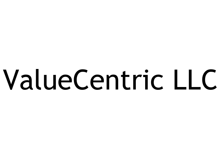 Software Development Company ValueCentric LLC