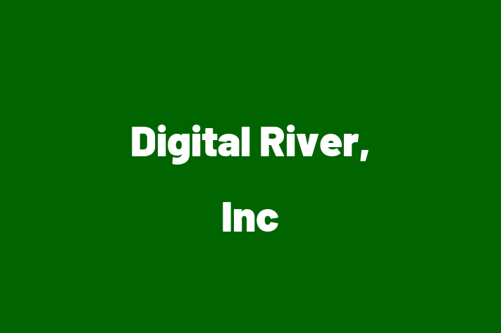 Software Firm Digital River Inc