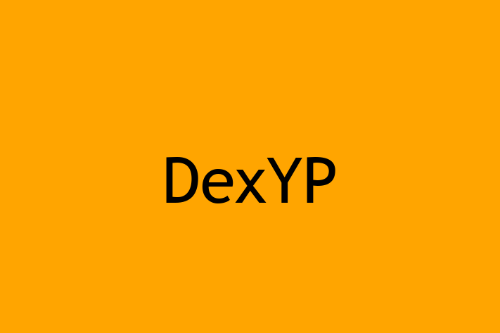 IT Company DexYP