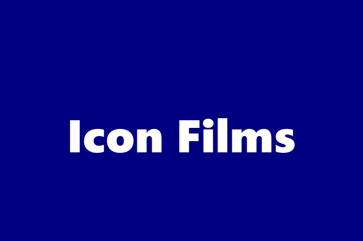 Digital Solutions Provider Icon Films