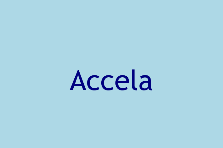 Application Development Company Accela