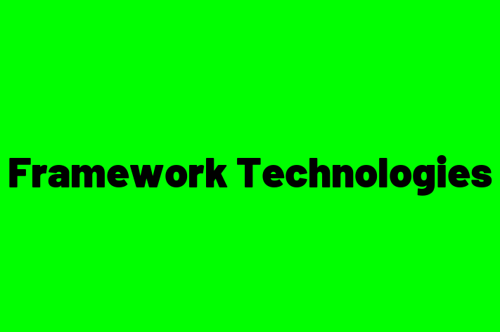 Software Engineering Company Framework Technologies