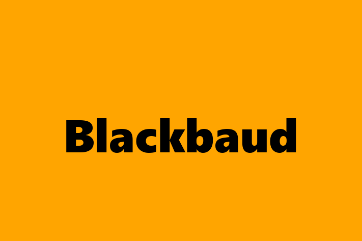 Software Solutions Provider Blackbaud