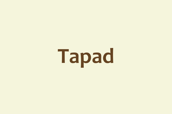 Technology Company Tapad