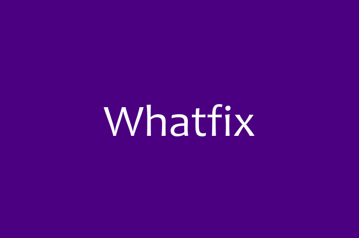 Application Development Company Whatfix