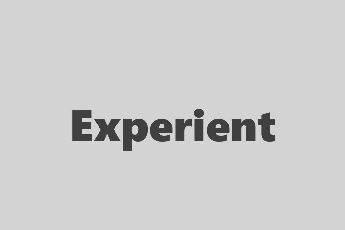 Technology Company Experient