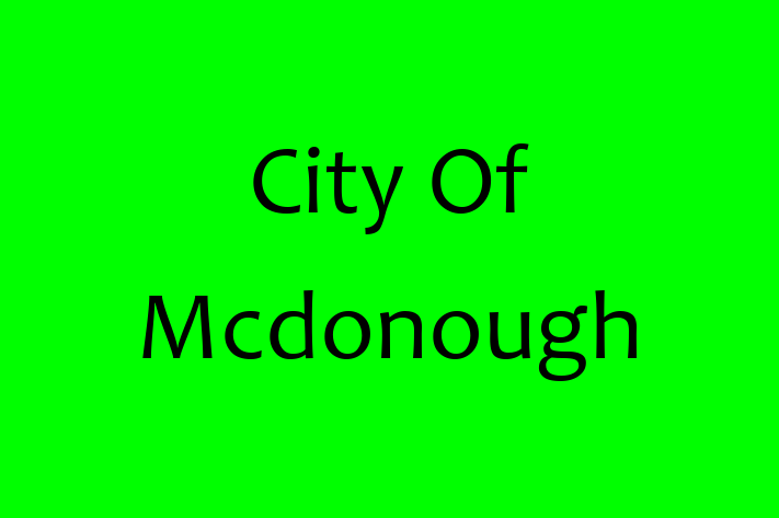 Software Firm City Of Mcdonough