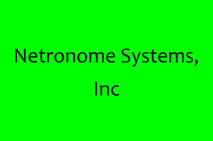 Software Development Firm Netronome Systems Inc