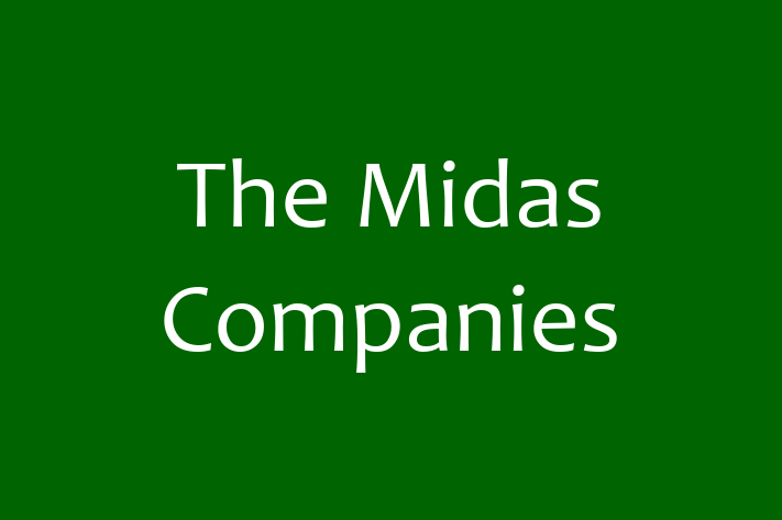 Software Development Company The Midas Companies