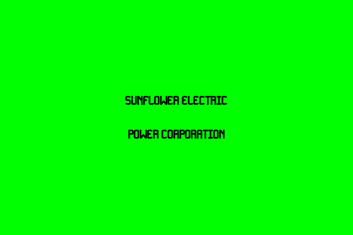 Software Firm Sunflower Electric Power Corporation