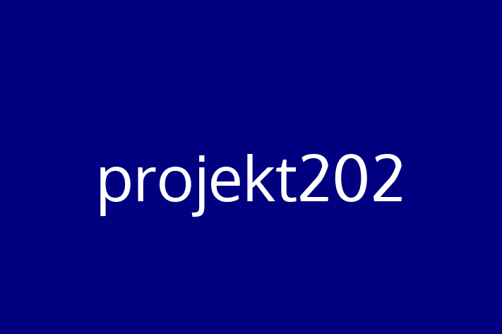 Technology Solutions Firm projekt202