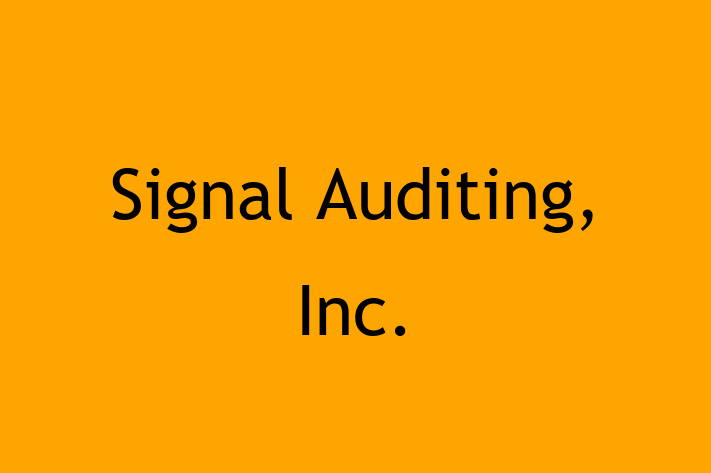 Digital Solutions Provider Signal Auditing Inc.