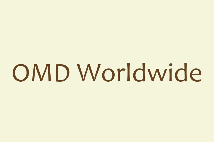 Software Engineering Company OMD Worldwide