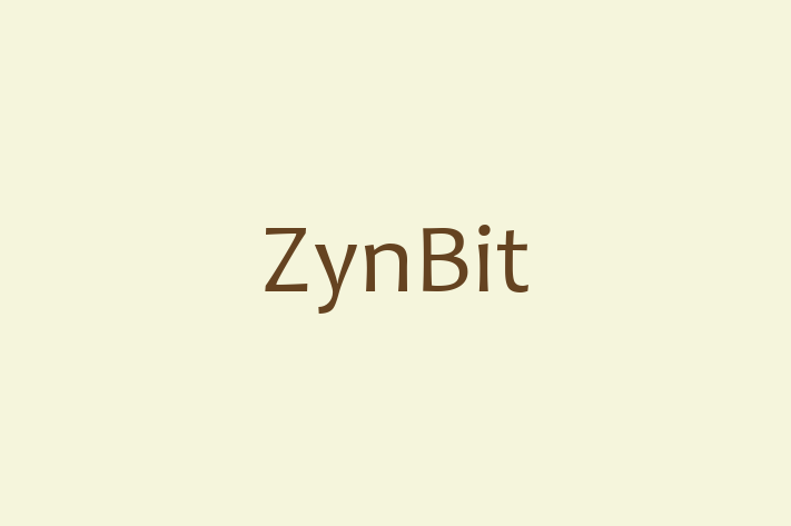 Application Development Company ZynBit