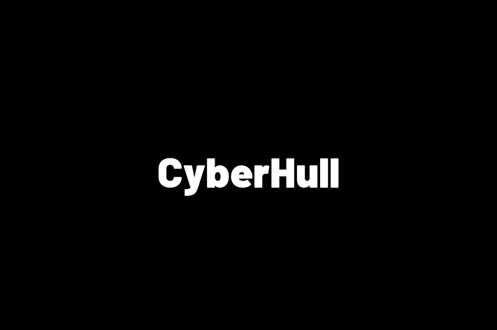 Technology Solutions Firm CyberHull