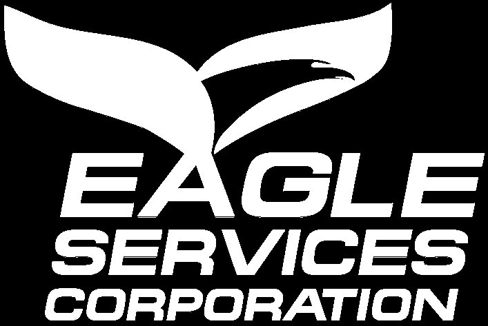 Software Firm Eagle Services   Three Rivers Region