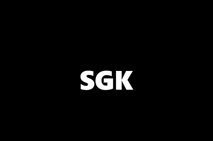 Software Services Company SGK