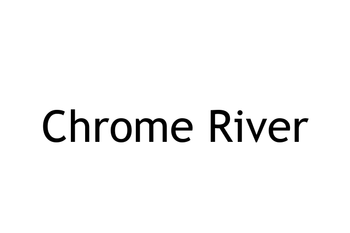 Software Consultancy Chrome River