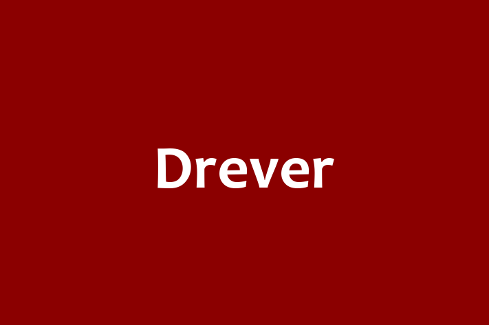 Drever Dog in Philadelphia