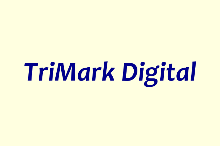 Software Development Firm TriMark Digital