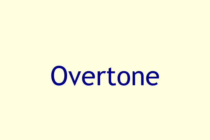 Software Engineering Company Overtone