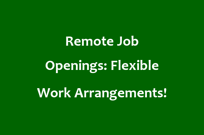 Remote Job Openings Flexible Work Arrangements